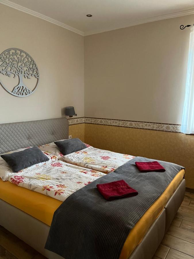Villa Gracia 帕廷斯 外观 照片
