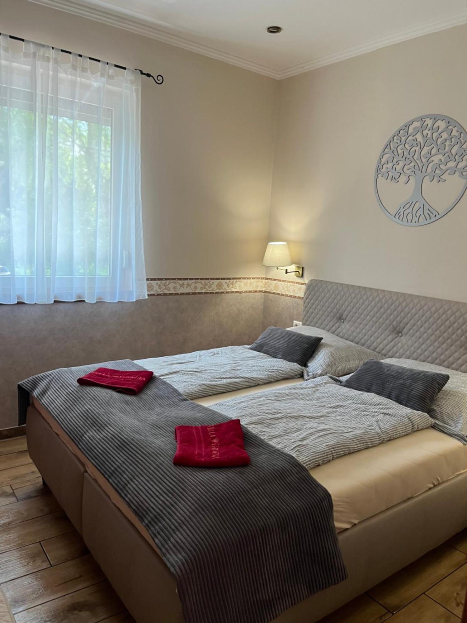 Villa Gracia 帕廷斯 外观 照片
