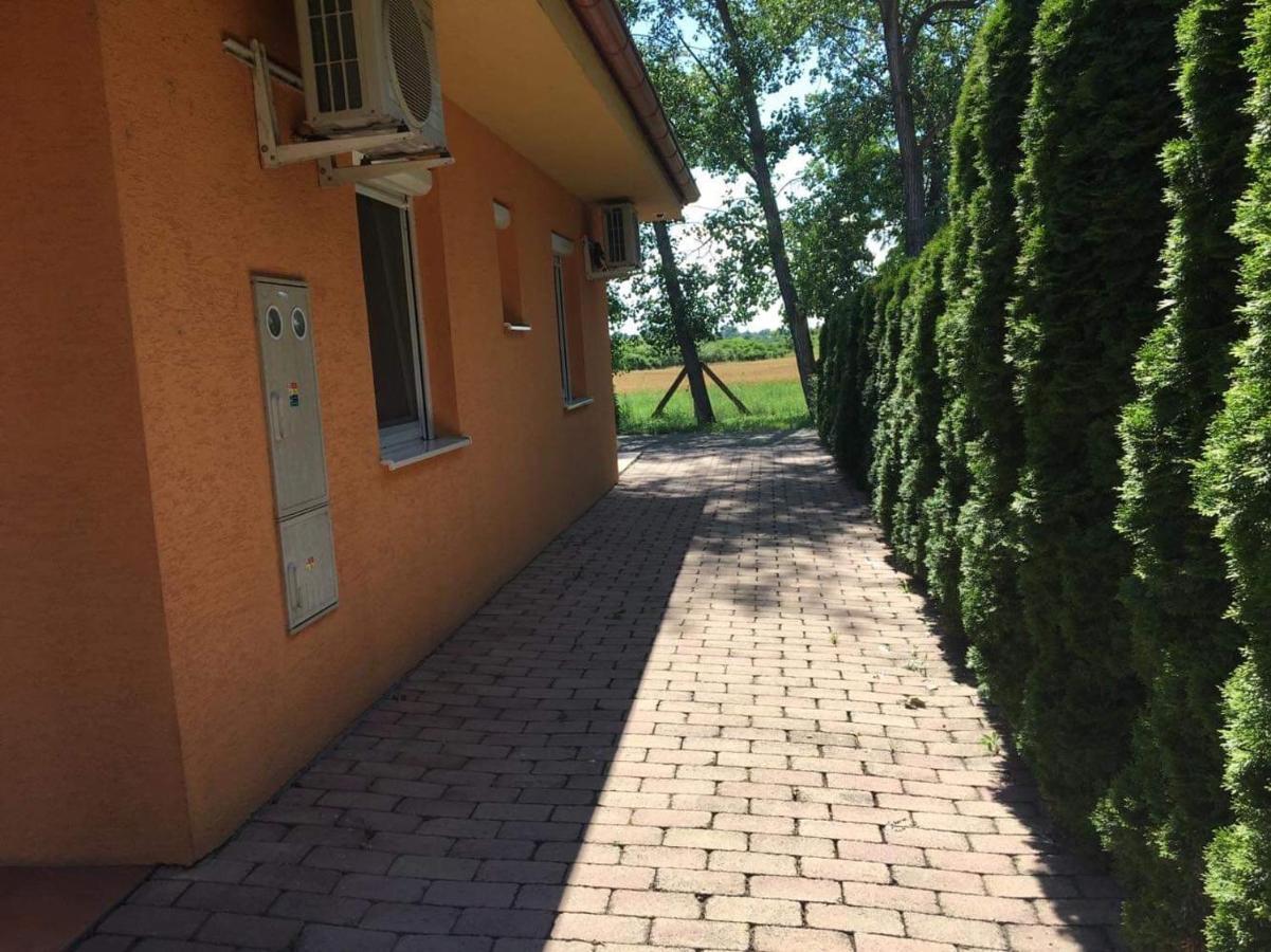 Villa Gracia 帕廷斯 外观 照片